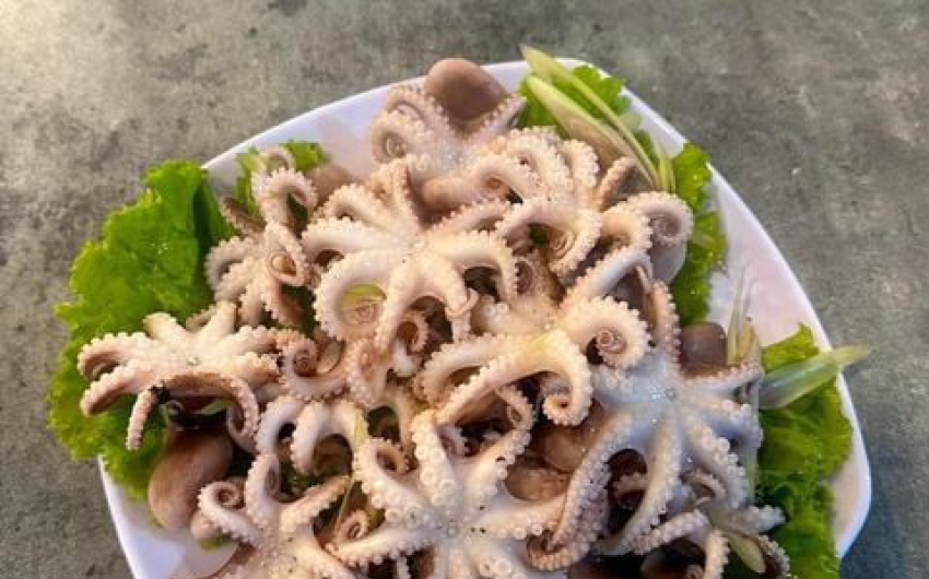 Các món ngon từ bạch tuộc bạn không thể bỏ qua