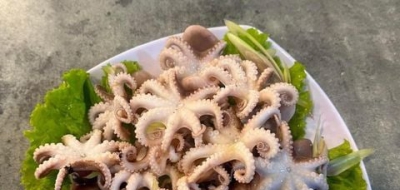 Các món ngon từ bạch tuộc bạn không thể bỏ qua