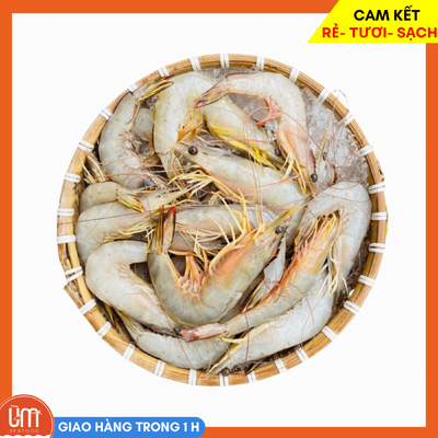 Tôm He Biển