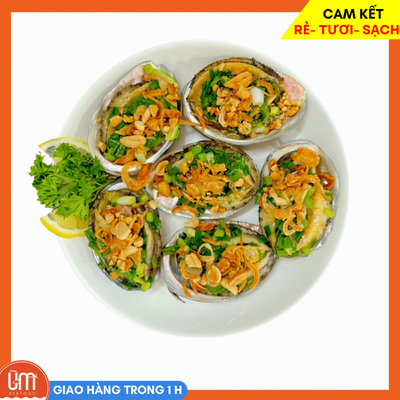 Bào Ngư Nhập Khẩu