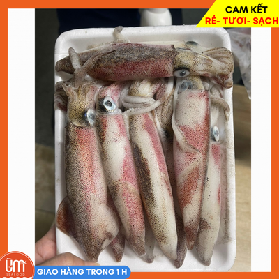 Mực Nhảy Cửa Lò 500gr