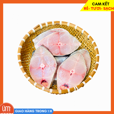 Cá Thu Câu Cửa Lò