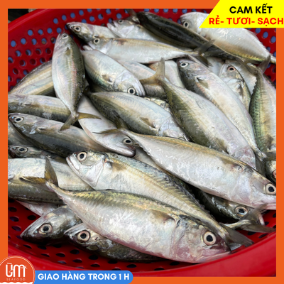 Cá Bạc Má Làm Sạch