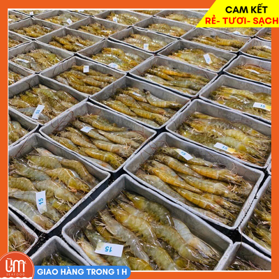 Tôm Thẻ 12 con 500gr