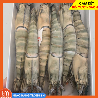 Tôm Sú 6 Con 500gr