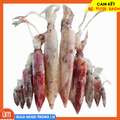 Mực Ống 3-4 con/kg