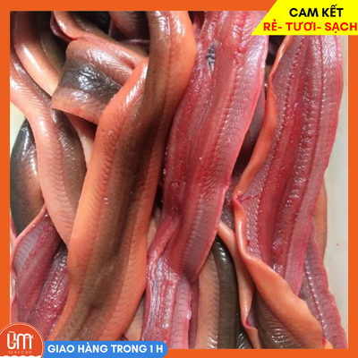 Lươn đồng làm sạch
