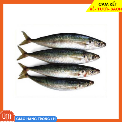 Cá Nục Chuối