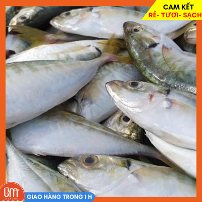 Cá đốm làm sạch