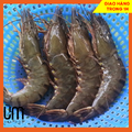 Tôm Sú 6 Con 500gr
