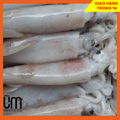 Mực Ống 3-4 con/kg