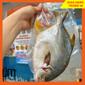 Cá Chim Biển Làm Sạch